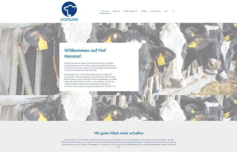 Hof-Website: Hof Horsink