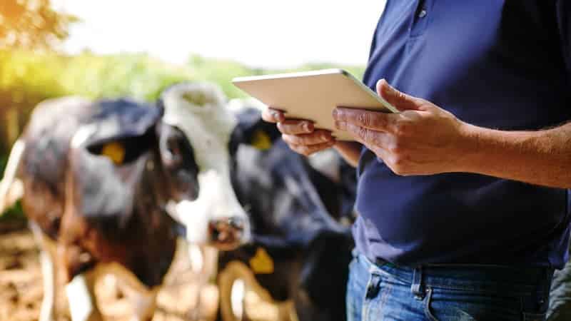 erfolgreicher Digitalauftritt Landwirtschaft