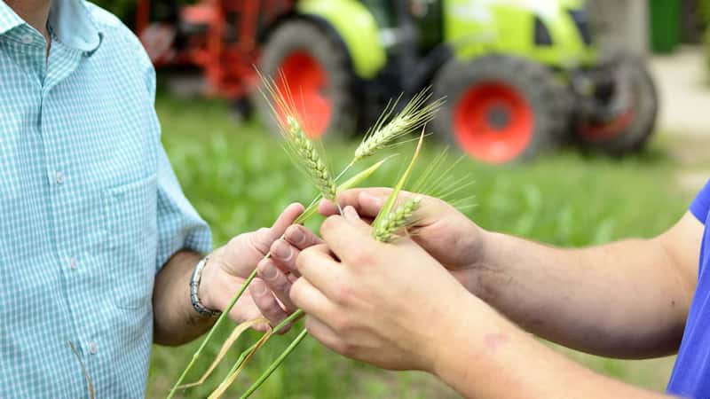 Agrarinitiativen für Landwirt:innen
